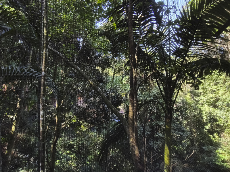 Casa de condomínio à venda Vila Tijuco com 403m² e 6 quartos por R$ 2.900.000 - guaeca-casa-praia-95.jpg