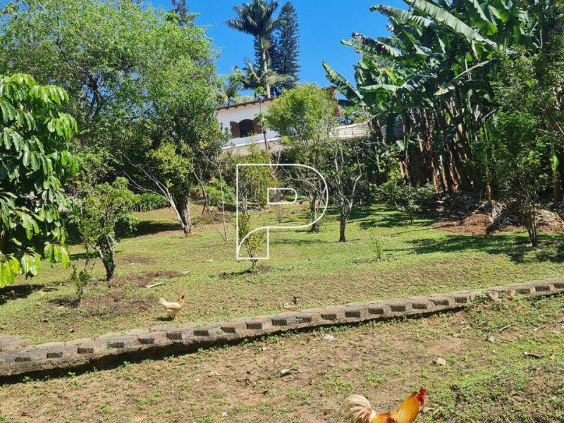 Chácara para alugar Vila Santo Antônio com 8000m² e 5 quartos por R$ 25.000 - 383a8ccc8b9bc0660d4ca1f4.jpg