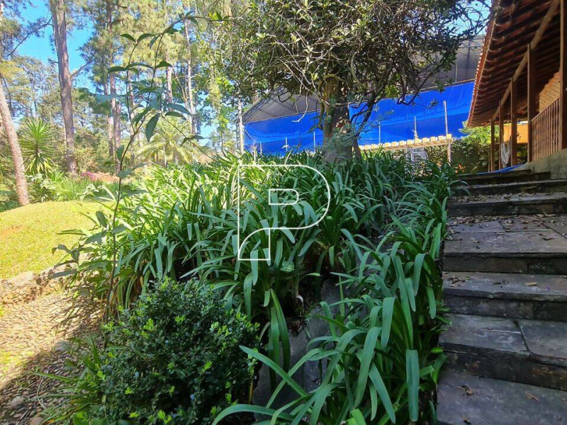 Chácara para alugar Vila Santo Antônio com 8000m² e 5 quartos por R$ 25.000 - c120a9c2eeddc6d488a1b7cb.jpg