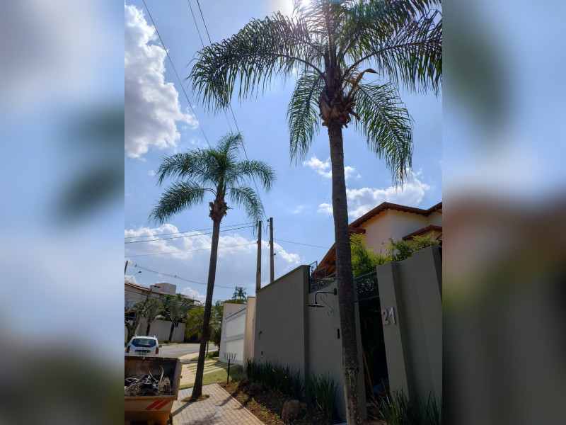 Casa de condomínio à venda Loteamento Caminhos de San Conrado (Sousas) com 293m² e 3 quartos por R$ 1.770.000 - 83494067-e8b7-4da7-91a6-c5f1baec2baf.jpeg