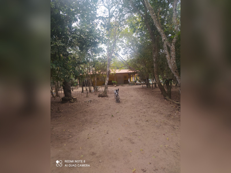 Casa à venda Pimenta com 1500m² e 2 quartos por R$ 350.000 - img-20240715-095735.jpg