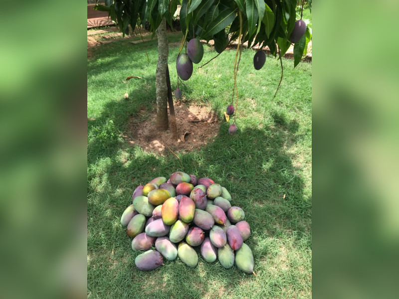 Casa de condomínio à venda Terra das Águas com 245m² e 3 quartos por R$ 1.650.000 - ceee3e5b-d298-469f-9351-302c347e095a.jpeg