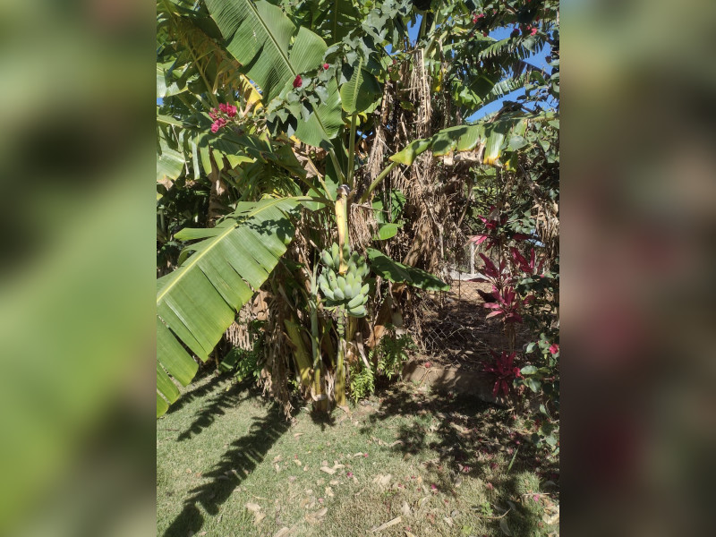Chácara à venda Chácaras Gargantilhas  com 256m² e 2 quartos por R$ 579.000 - img-20240801-wa0022.jpg