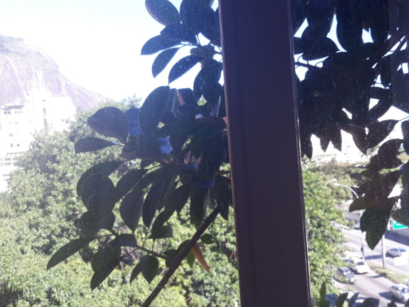 Apartamento à venda Jardim Botânico com 68m² e 2 quartos por R$ 630.000 - morro-dos-cabrito-a-esquerda-pedra-da-gavea-e-morro-dois-irnao-cobertas-pelo-galho-procedente-da-mata-atlantica-no-quarto-de-solteiro.jpeg