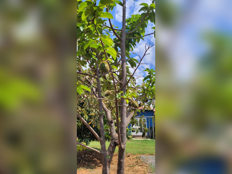 Casa à venda Novo Horizonte com 180m² e 2 quartos por R$ 1.150.000 - img-20240822-wa0052.jpg