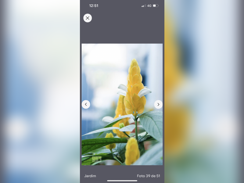 Casa à venda Vila Inah com 364m² e 4 quartos por R$ 2.310.000 - img-3999.png
