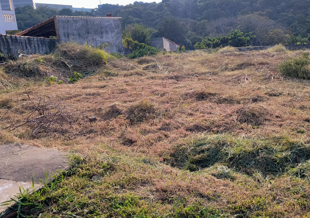 imóvel com 800m²
