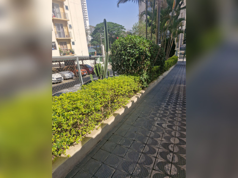 Apartamento à venda Jardim Umarizal com 54m² e 2 quartos por R$ 250.000 - 1000075355.jpg