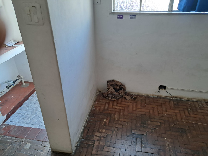 Casa à venda Vila São José com 83m² e 2 quartos por R$ 365.000 - inbound1169942425653826241.jpg