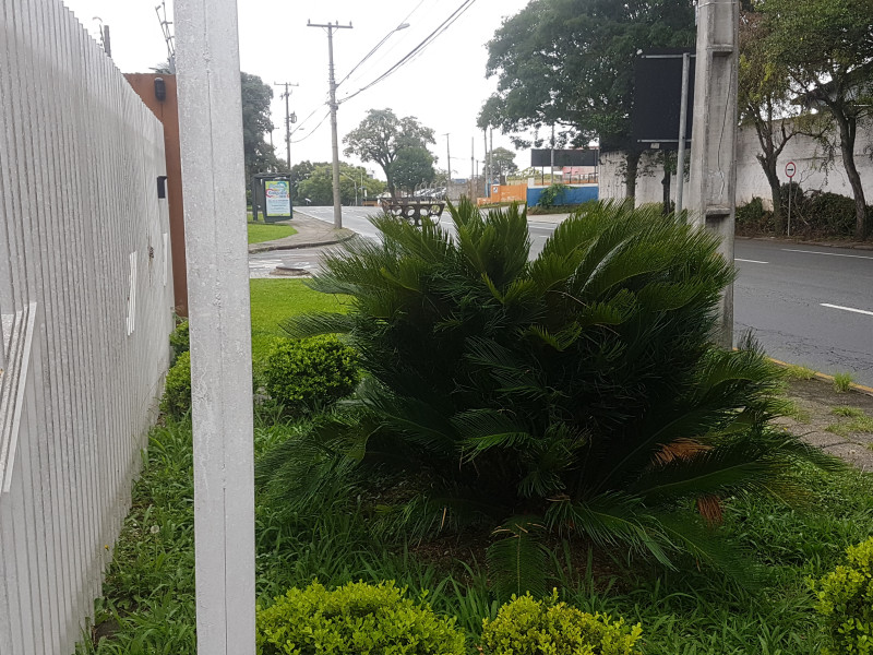 imóvel com 200m² - Boa Vista - Curitiba