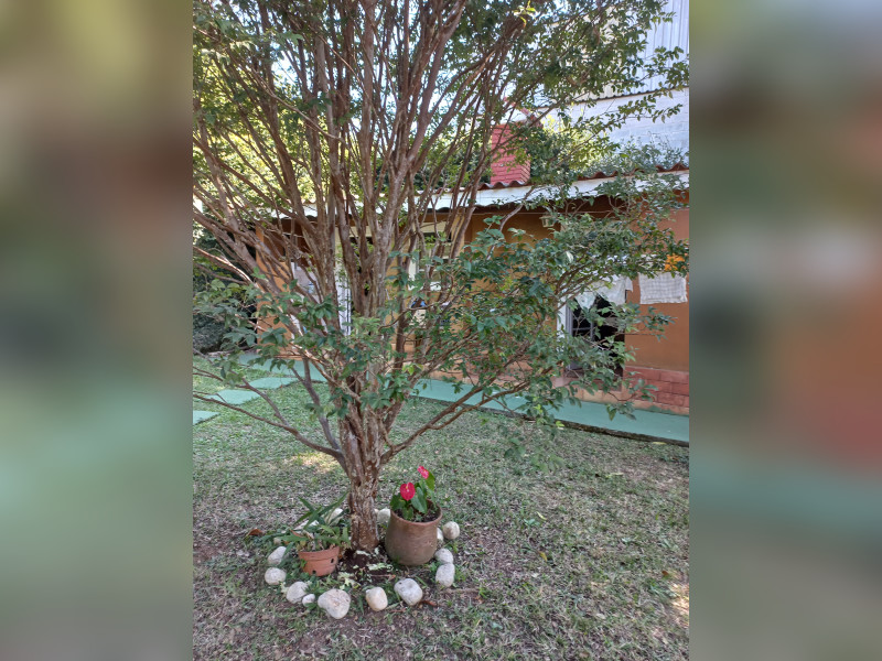 Chácara à venda Terra preta com 1240m² e 3 quartos por R$ 750.000 - 20240706-130319.jpg