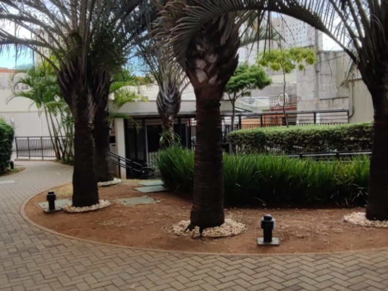 Apartamento à venda Maranhão com 45m² e 2 quartos por R$ 290.000 - screenshot-20240904-170504.jpg