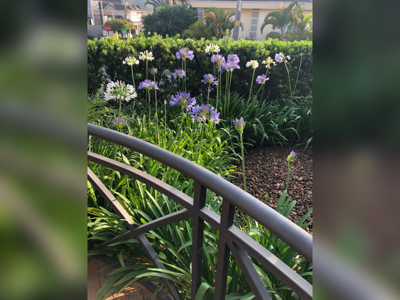 Casa de condomínio à venda Tamboré com 600m² e 3 quartos por R$ 6.500.000 - 4e027255-165f-4fca-8653-3518934bd50d.jpg