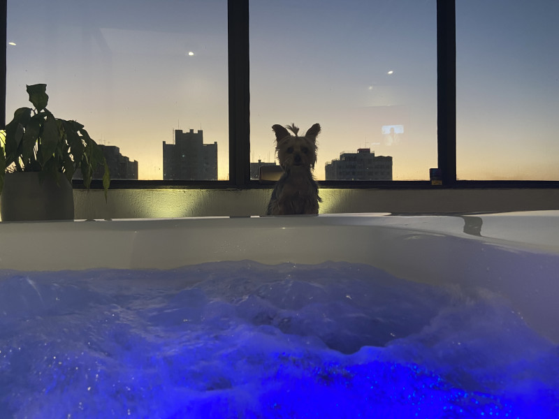 Cobertura à venda Vila Suzana com 194m² e 3 quartos por R$ 1.550.000 - img-1371-original.jpeg