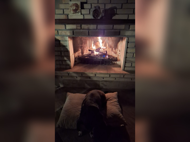 Casa à venda Jardim Santa Paula com 96m² e 2 quartos por R$ 520.000 - 1000112269.jpg