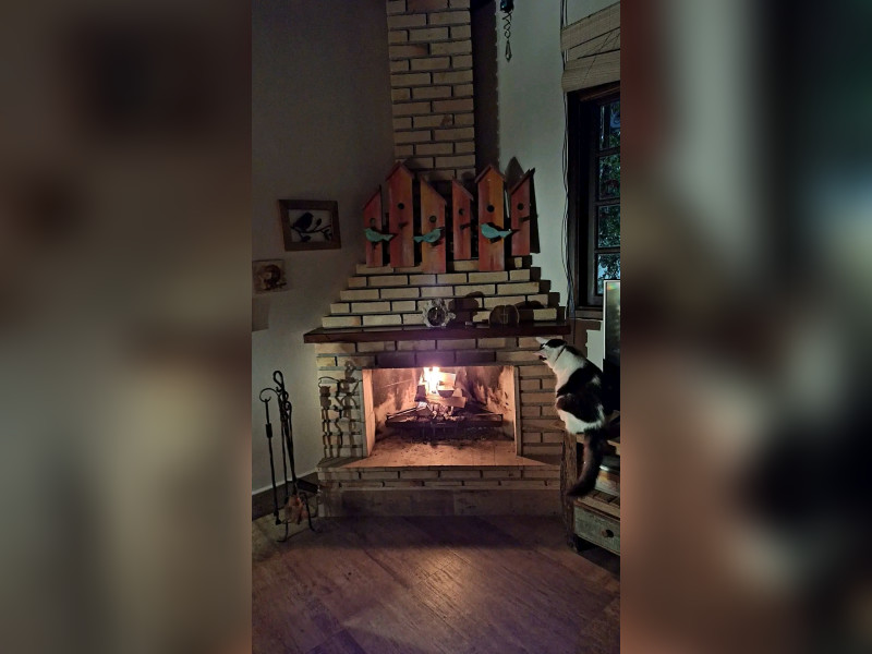 Casa à venda Jardim Santa Paula com 96m² e 2 quartos por R$ 520.000 - 1000202835.jpg