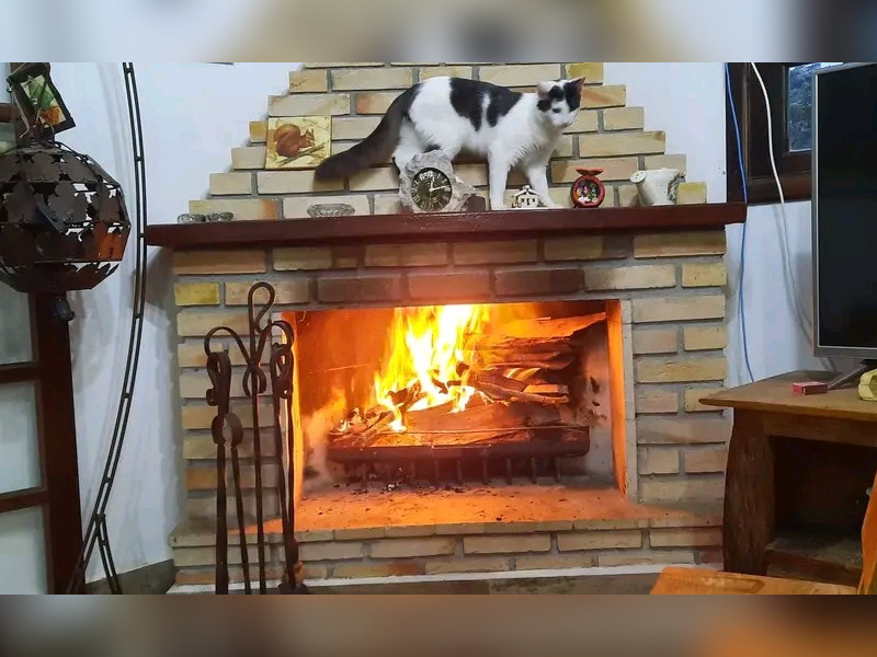 Casa à venda Jardim Santa Paula com 96m² e 2 quartos por R$ 520.000 - 1000202843.jpg