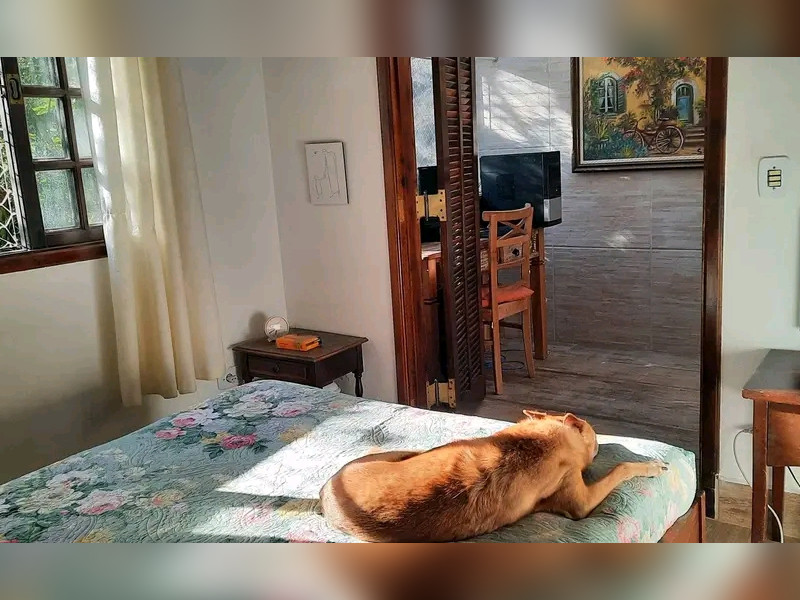 Casa à venda Jardim Santa Paula com 96m² e 2 quartos por R$ 520.000 - 1000202846.jpg