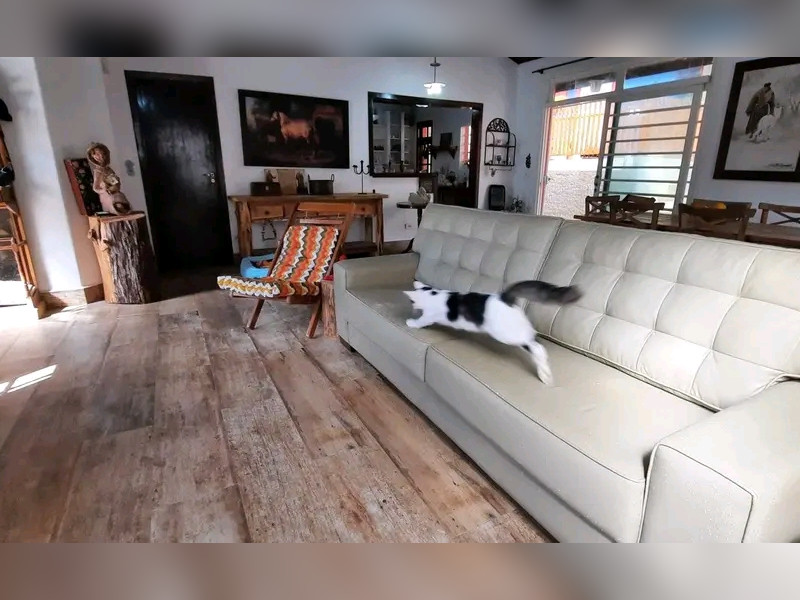 Casa à venda Jardim Santa Paula com 96m² e 2 quartos por R$ 520.000 - 1000202848.jpg