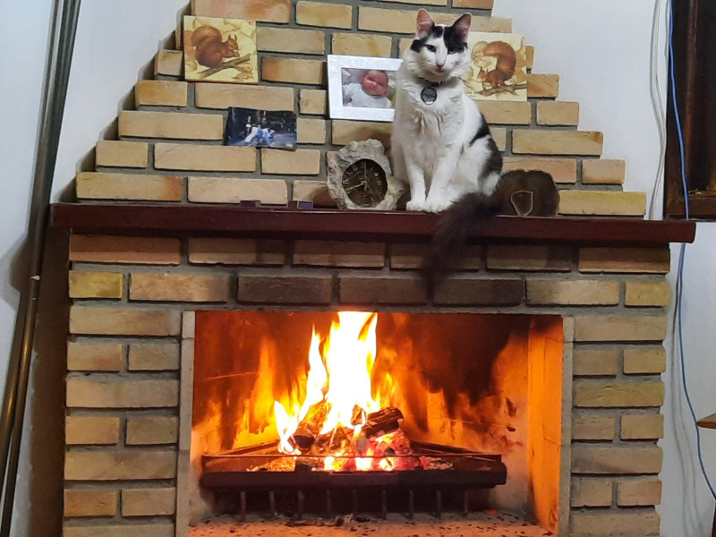 Casa à venda Jardim Santa Paula com 96m² e 2 quartos por R$ 520.000 - 61c62b75-79d9-404d-b9f1-871d80ec0749-1-all-783.jpg