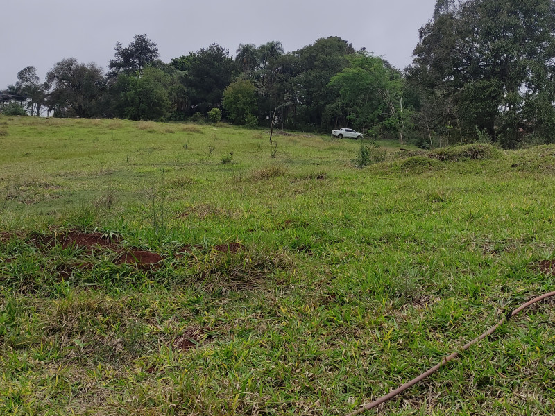 Terreno à venda Centro com 50000m² e 0 quartos por R$ 6.000.000 - 1000000812.jpg