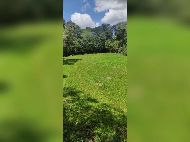 Terreno à venda Centro com 50000m² e 0 quartos por R$ 6.000.000 - 1000001017.jpg