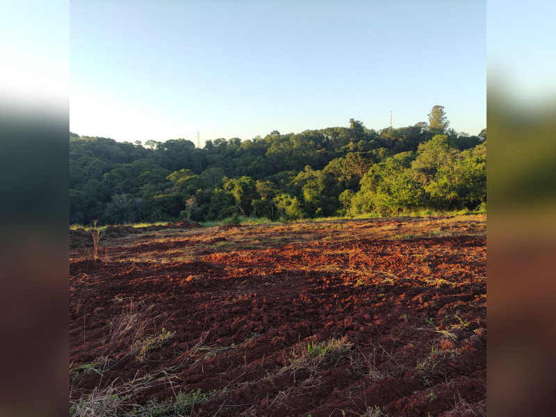 Terreno à venda Centro com 50000m² e 0 quartos por R$ 6.000.000 - 1000001137.jpg