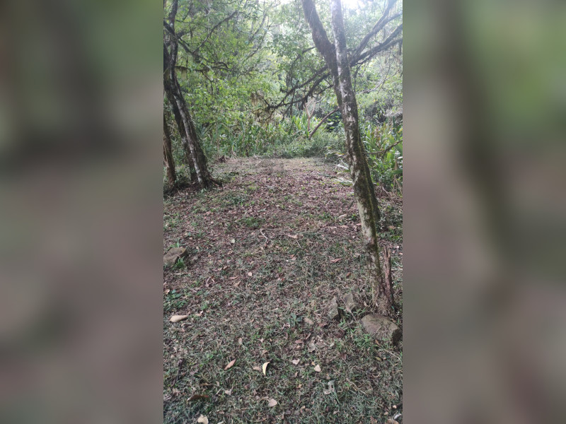 Terreno à venda Centro com 50000m² e 0 quartos por R$ 6.000.000 - 1000001258.jpg