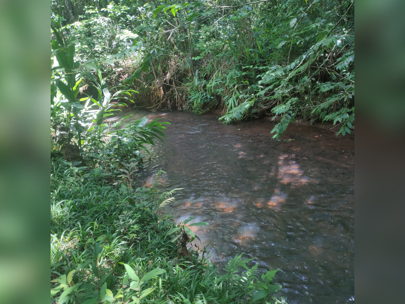 Terreno à venda Centro com 50000m² e 0 quartos por R$ 6.000.000 - 1000001340.jpg