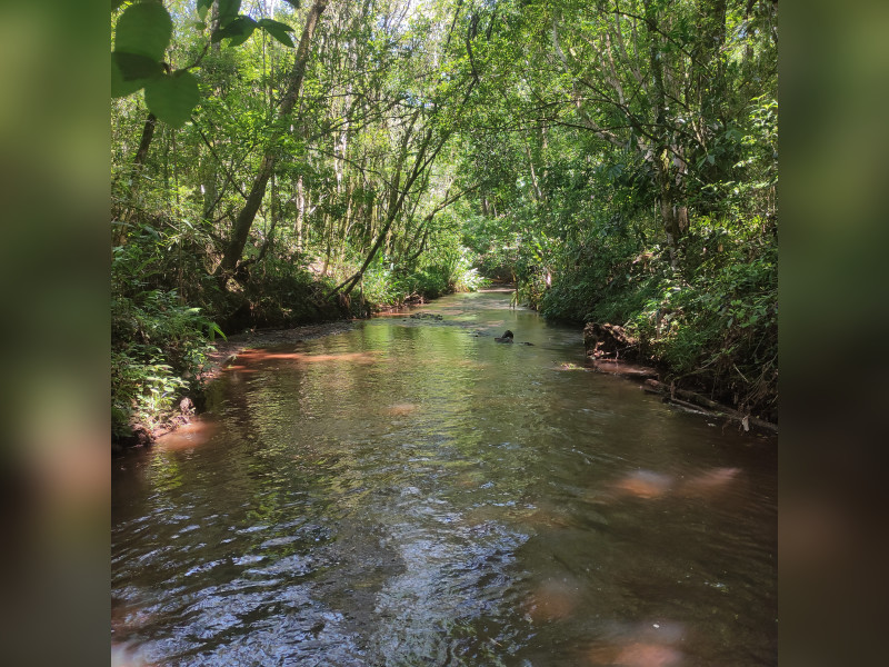 Terreno à venda Centro com 50000m² e 0 quartos por R$ 6.000.000 - 1000001341.jpg