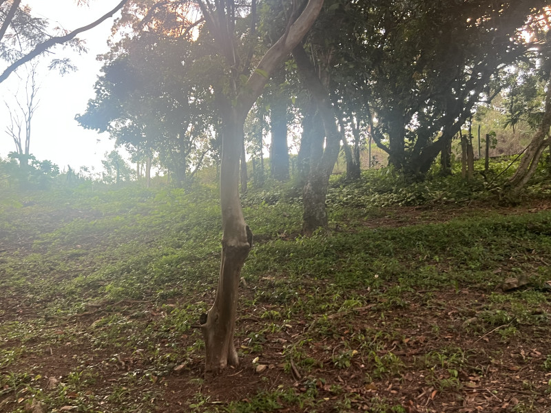 Terreno à venda Parque Valinhos com 2000m² e 1 quarto por R$ 440.000 - img-6348.jpeg