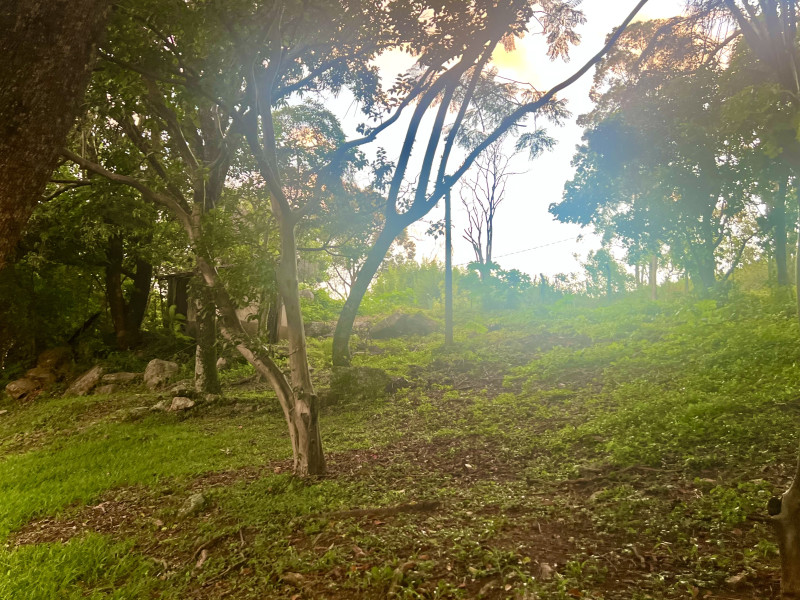 Terreno à venda Parque Valinhos com 2000m² e 1 quarto por R$ 440.000 - img-6349.jpeg