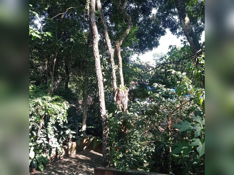 Chácara à venda Jardim Estancia Brasil com 140m² e 1 quarto por R$ 850.000 - inbound8598224245412183027.jpg