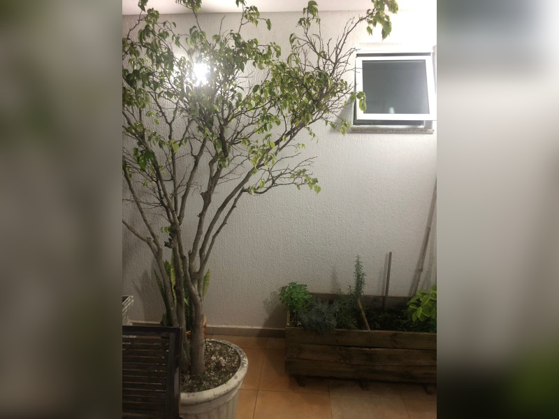 Apartamento à venda Centro com 244m² e 3 quartos por R$ 1.550.000 - 1000229298.jpg
