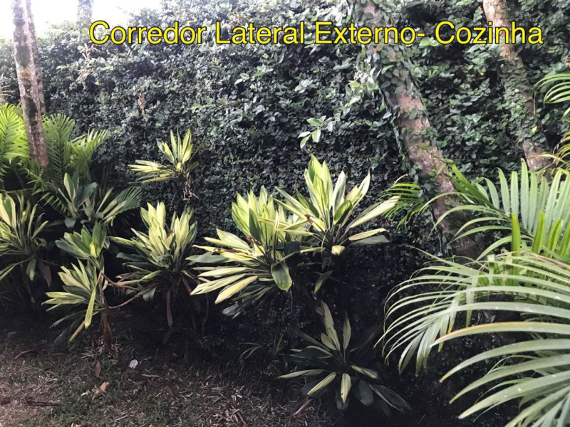 Casa de condomínio à venda Residencial San Diego com 280m² e 6 quartos por R$ 870.000 - inbound5036794221799696137.jpg