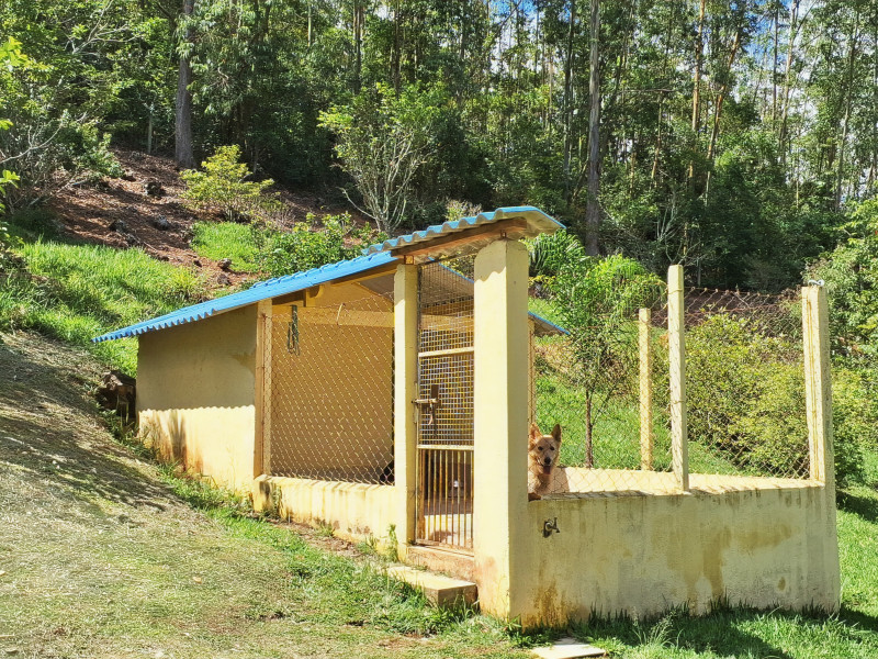 Chácara à venda Vicente Nunes com 65000m² e 4 quartos por R$ 1.900.000 - 20231213-094926.jpg