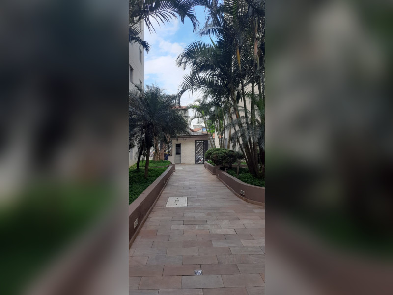 Apartamento à venda Vila Inglesa com 60m² e 3 quartos por R$ 320.000 - whatsapp-image-2025-01-20-at-174834.jpeg