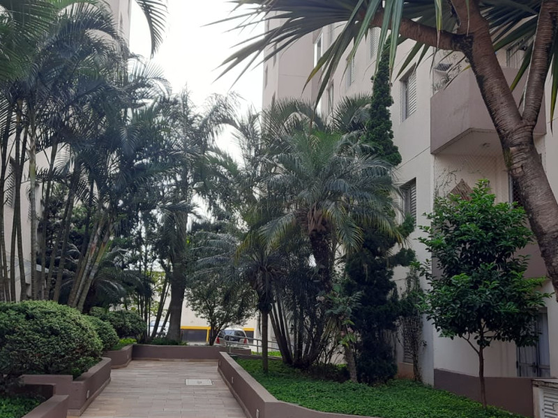 Apartamento à venda Vila Inglesa com 60m² e 3 quartos por R$ 320.000 - whatsapp-image-2025-01-20-at-174835.jpeg