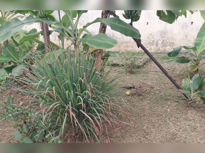 Casa à venda Cosmos com 300m² e 2 quartos por R$ 230.000 - img-20250125-wa0020.jpg