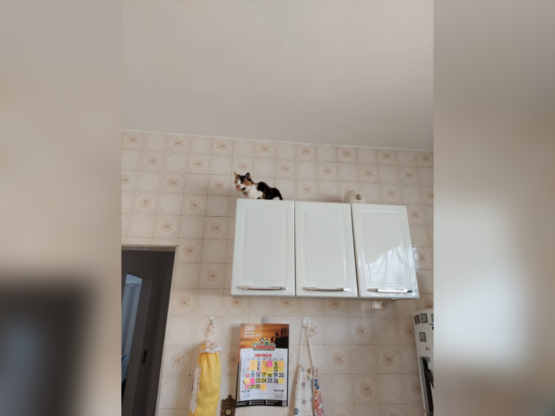 Casa à venda Cosmos com 300m² e 2 quartos por R$ 230.000 - img-20250125-wa0022.jpg