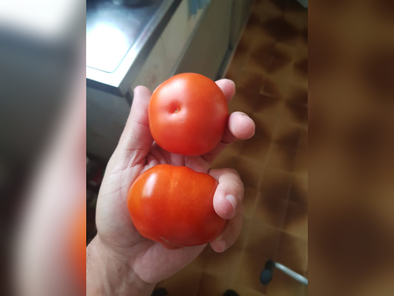 Casa à venda Cosmos com 300m² e 2 quartos por R$ 230.000 - img-20250125-wa0029.jpg