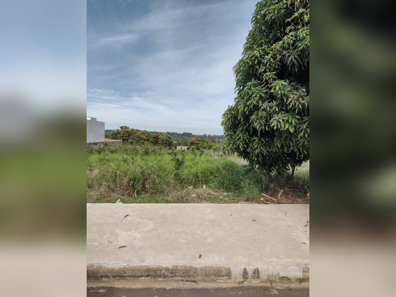 Terreno à venda Centro com 1000m² e 1 quarto por R$ 300.000 - 1000028301.jpg