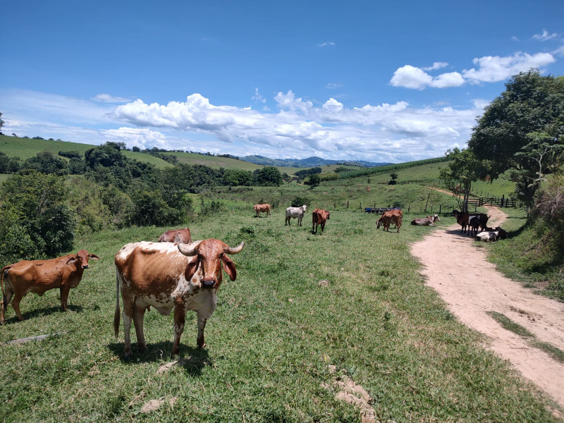 Fazenda à venda Centro com 1064800m² e 2 quartos por R$ 3.900.000 - whatsapp-image-2025-02-05-at-172320.jpeg