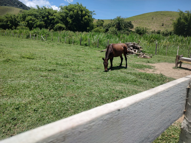 Fazenda à venda Centro com 1064800m² e 2 quartos por R$ 3.900.000 - whatsapp-image-2025-02-05-at-172321-2.jpeg