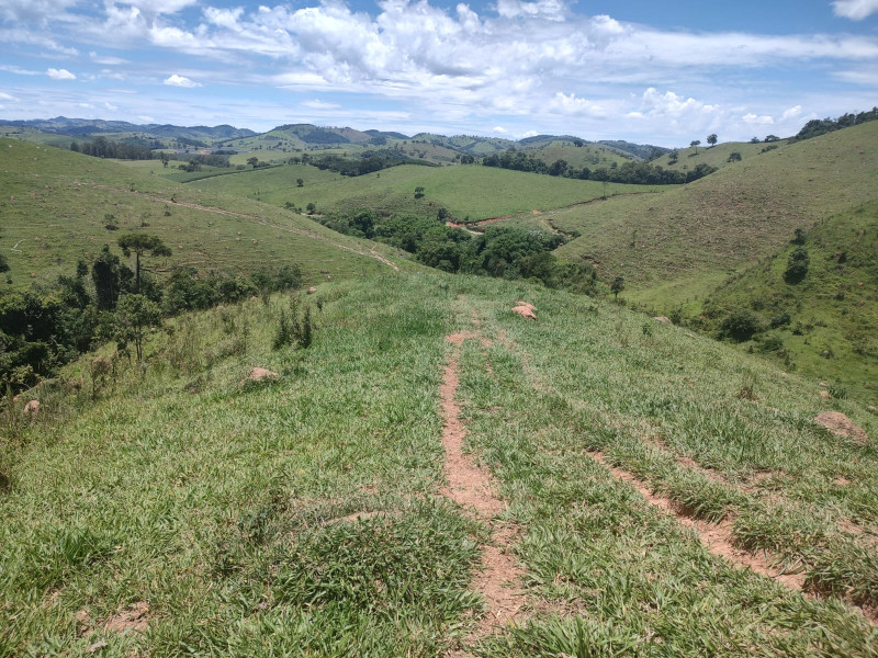 Fazenda à venda Centro com 1064800m² e 2 quartos por R$ 3.900.000 - whatsapp-image-2025-02-05-at-172322-2.jpeg