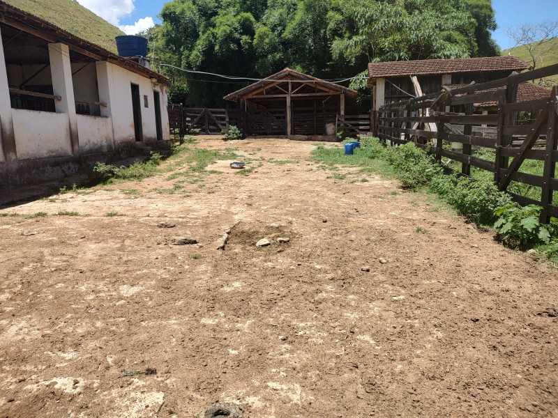 Fazenda à venda Centro com 1064800m² e 2 quartos por R$ 3.900.000 - whatsapp-image-2025-02-05-at-172322-4.jpeg