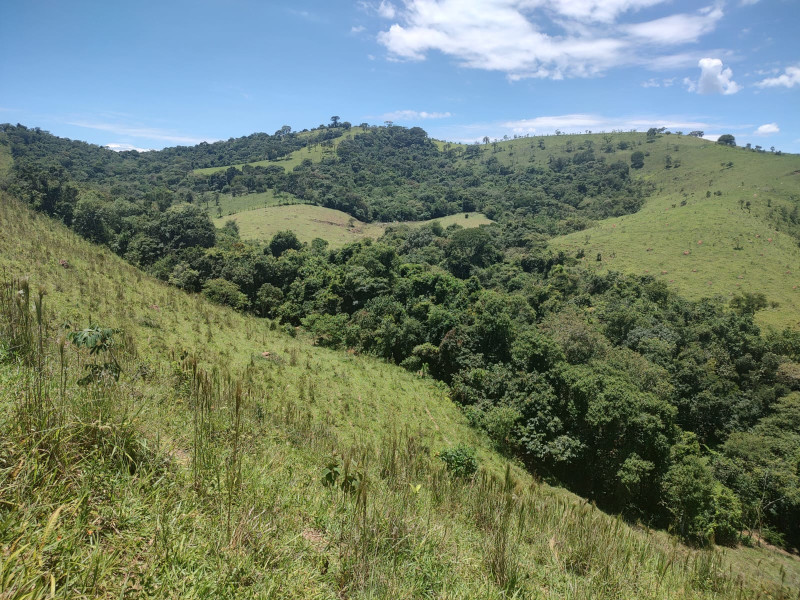 Fazenda à venda Centro com 1064800m² e 2 quartos por R$ 3.900.000 - whatsapp-image-2025-02-05-at-172322.jpeg