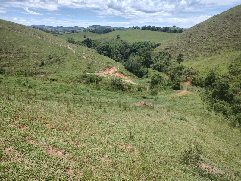Fazenda à venda Centro com 1064800m² e 2 quartos por R$ 3.900.000 - whatsapp-image-2025-02-05-at-172323-1.jpeg