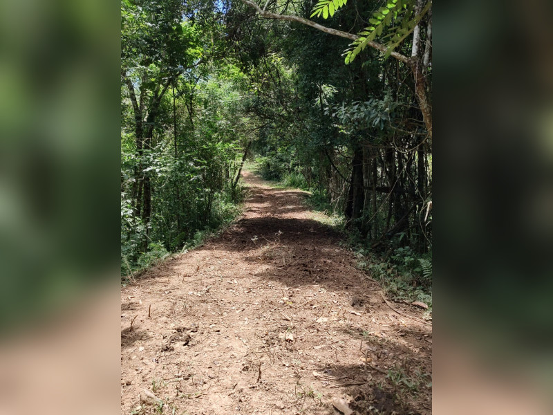 Fazenda à venda Centro com 1064800m² e 2 quartos por R$ 3.900.000 - whatsapp-image-2025-02-05-at-172327-1.jpeg