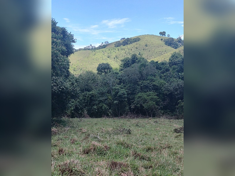 Fazenda à venda Centro com 1064800m² e 2 quartos por R$ 3.900.000 - whatsapp-image-2025-02-05-at-172327-2.jpeg